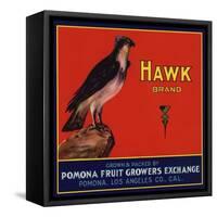 Hawk Brand - Pomona, California - Citrus Crate Label-Lantern Press-Framed Stretched Canvas