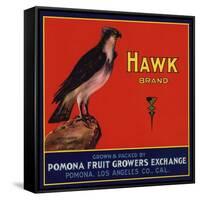 Hawk Brand - Pomona, California - Citrus Crate Label-Lantern Press-Framed Stretched Canvas