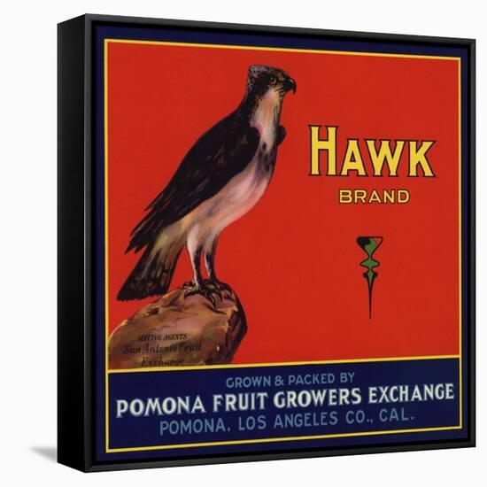 Hawk Brand - Pomona, California - Citrus Crate Label-Lantern Press-Framed Stretched Canvas