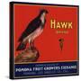 Hawk Brand - Pomona, California - Citrus Crate Label-Lantern Press-Stretched Canvas