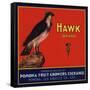 Hawk Brand - Pomona, California - Citrus Crate Label-Lantern Press-Framed Stretched Canvas