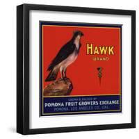 Hawk Brand - Pomona, California - Citrus Crate Label-Lantern Press-Framed Art Print