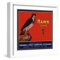 Hawk Brand - Pomona, California - Citrus Crate Label-Lantern Press-Framed Art Print