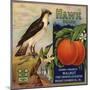 Hawk Brand - Walnut, California - Citrus Crate Label-Lantern Press-Mounted Art Print