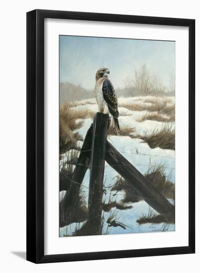 Hawk Eye-Rusty Frentner-Framed Giclee Print