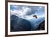 Hawk Flying over the Mountains-muratart-Framed Photographic Print