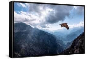 Hawk Flying over the Mountains-muratart-Framed Stretched Canvas