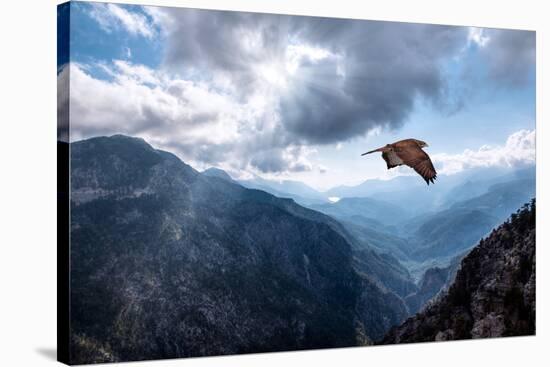 Hawk Flying over the Mountains-muratart-Stretched Canvas