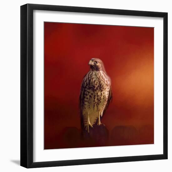 Hawk on a Hot Day-Jai Johnson-Framed Giclee Print