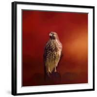 Hawk on a Hot Day-Jai Johnson-Framed Giclee Print