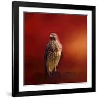 Hawk on a Hot Day-Jai Johnson-Framed Giclee Print