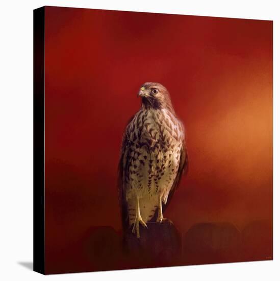 Hawk on a Hot Day-Jai Johnson-Stretched Canvas