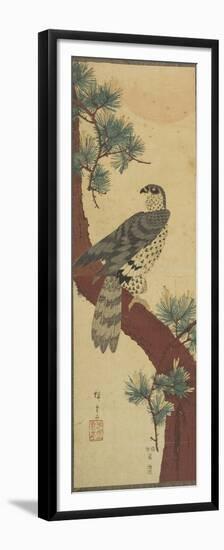 Hawk on Pine Branch, Summer, September 1853-Utagawa Hiroshige-Framed Premium Giclee Print