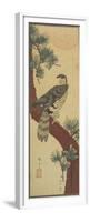 Hawk on Pine Branch, Summer, September 1853-Utagawa Hiroshige-Framed Premium Giclee Print