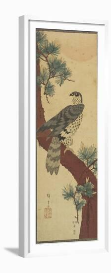 Hawk on Pine Branch, Summer, September 1853-Utagawa Hiroshige-Framed Premium Giclee Print