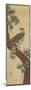 Hawk on Pine Branch, Summer, September 1853-Utagawa Hiroshige-Mounted Premium Giclee Print
