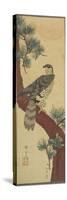 Hawk on Pine Branch, Summer, September 1853-Utagawa Hiroshige-Stretched Canvas