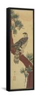 Hawk on Pine Branch, Summer, September 1853-Utagawa Hiroshige-Framed Stretched Canvas