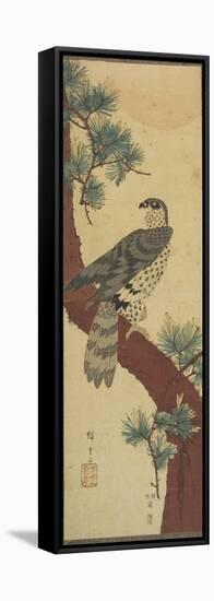 Hawk on Pine Branch, Summer, September 1853-Utagawa Hiroshige-Framed Stretched Canvas