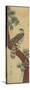 Hawk on Pine Branch, Summer, September 1853-Utagawa Hiroshige-Stretched Canvas