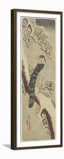 Hawk on Pine Branch, Winter, Early 19th Century-Utagawa Hiroshige-Framed Premium Giclee Print