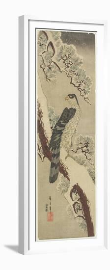 Hawk on Pine Branch, Winter, Early 19th Century-Utagawa Hiroshige-Framed Premium Giclee Print