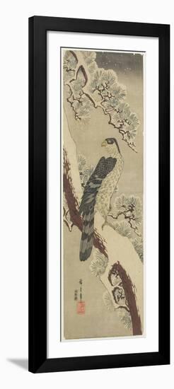 Hawk on Pine Branch, Winter, Early 19th Century-Utagawa Hiroshige-Framed Giclee Print