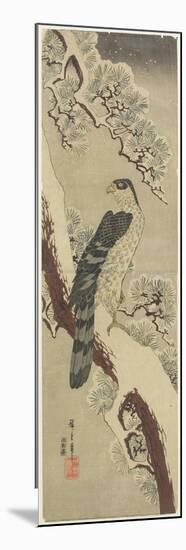 Hawk on Pine Branch, Winter, Early 19th Century-Utagawa Hiroshige-Mounted Giclee Print