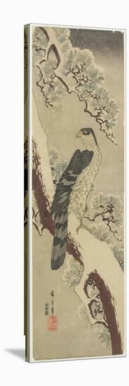 Hawk on Pine Branch, Winter, Early 19th Century-Utagawa Hiroshige-Stretched Canvas