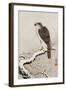 Hawk on Snow-Covered Branch-Koson Ohara-Framed Giclee Print