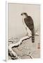 Hawk on Snow-Covered Branch-Koson Ohara-Framed Giclee Print