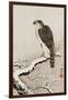 Hawk on Snow-Covered Branch-Koson Ohara-Framed Giclee Print