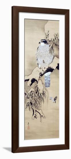 Hawk on Snowy Branch-Zeshin Shibata-Framed Premium Giclee Print