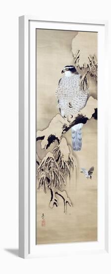 Hawk on Snowy Branch-Zeshin Shibata-Framed Premium Giclee Print