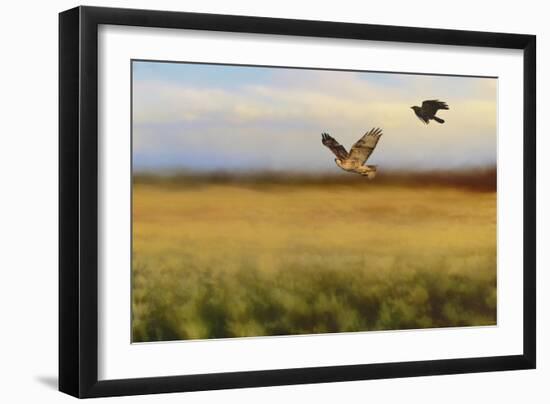 Hawk on the Run-Jai Johnson-Framed Giclee Print