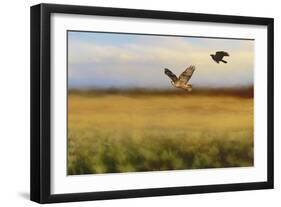 Hawk on the Run-Jai Johnson-Framed Giclee Print