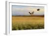 Hawk on the Run-Jai Johnson-Framed Giclee Print