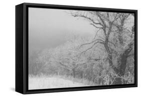 Hawk's Nest 2-Gordon Semmens-Framed Stretched Canvas