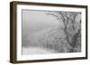 Hawk's Nest 2-Gordon Semmens-Framed Photographic Print