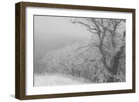 Hawk's Nest 2-Gordon Semmens-Framed Photographic Print