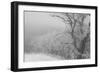 Hawk's Nest 2-Gordon Semmens-Framed Photographic Print