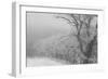 Hawk's Nest 2-Gordon Semmens-Framed Photographic Print