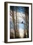 Hawk Silhouette-Erin Berzel-Framed Art Print