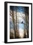 Hawk Silhouette-Erin Berzel-Framed Art Print