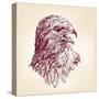 Hawk - Vector Illustration-VladisChern-Stretched Canvas