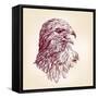 Hawk - Vector Illustration-VladisChern-Framed Stretched Canvas