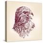 Hawk - Vector Illustration-VladisChern-Stretched Canvas