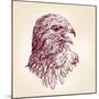 Hawk - Vector Illustration-VladisChern-Mounted Art Print