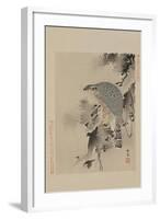 Hawk-null-Framed Art Print