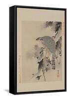 Hawk-null-Framed Stretched Canvas